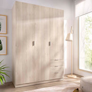 Armario de puertas batientes y cajones Essen